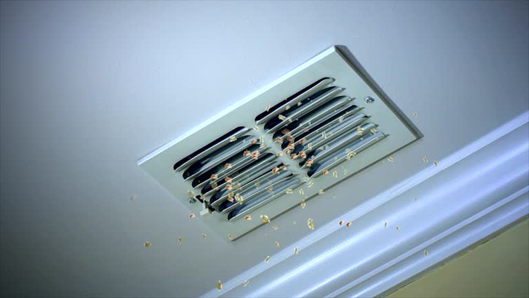 Best HVAC Duct Inspection Services  in Redwood City, CA